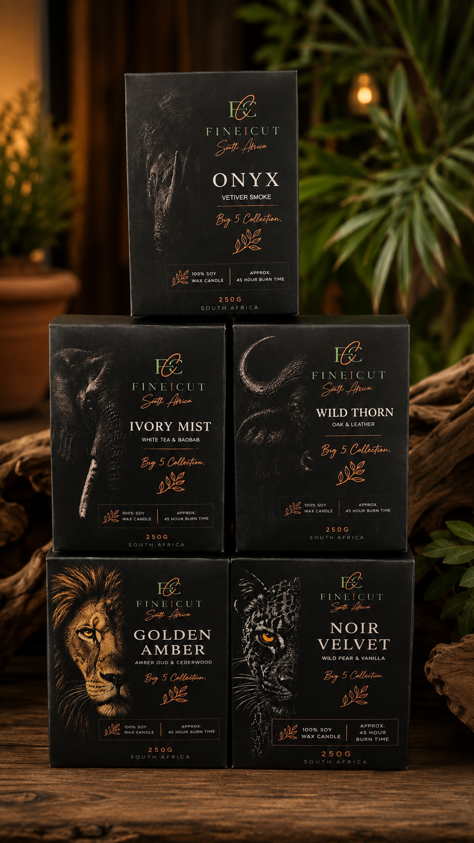 The Big 5 Collection: Collector’s Suite